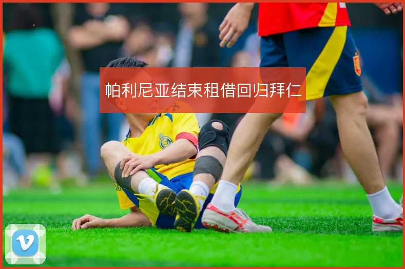 帕利尼亚结束租借回归拜仁