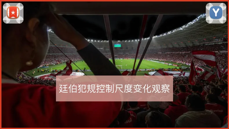 廷伯犯规控制尺度变化观察