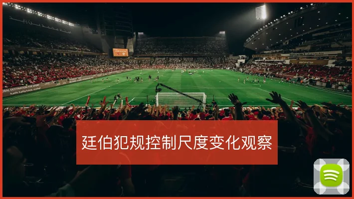 廷伯犯规控制尺度变化观察