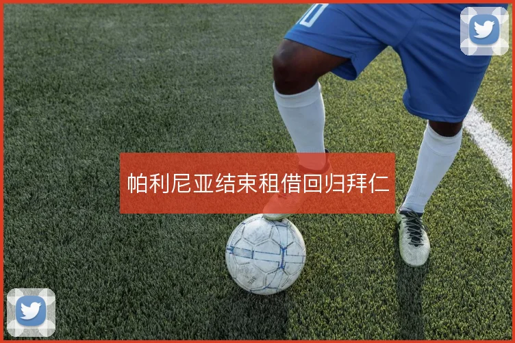 帕利尼亚结束租借回归拜仁